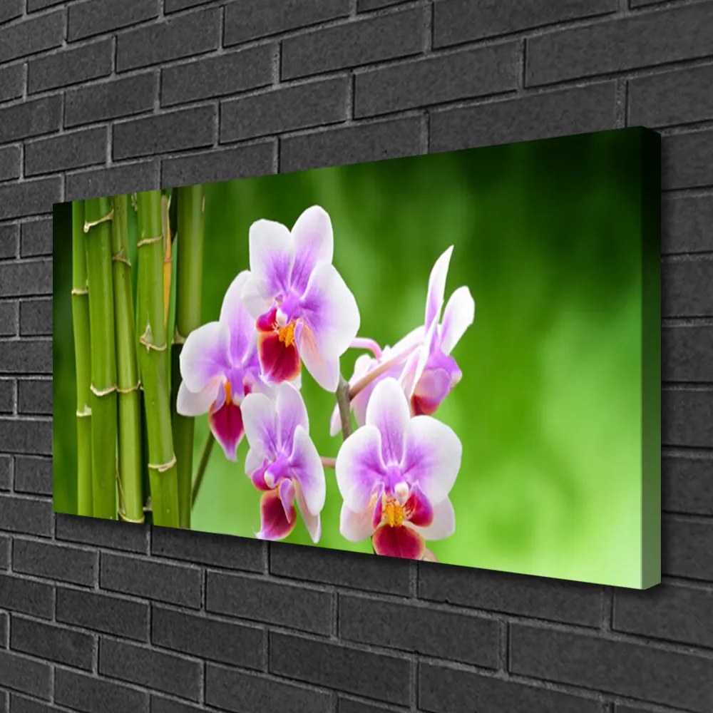 Obraz Canvas Bambus orchidea kvety zen 140x70 cm