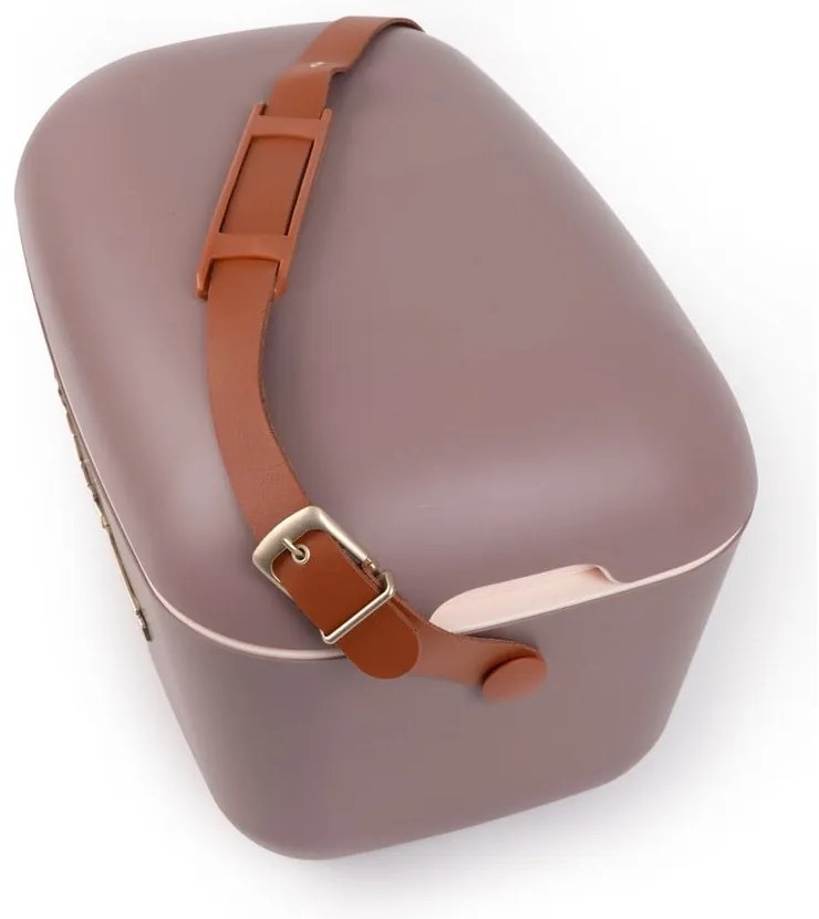 Hnedý chladiaci box 12 l Classic Gold – Polarbox