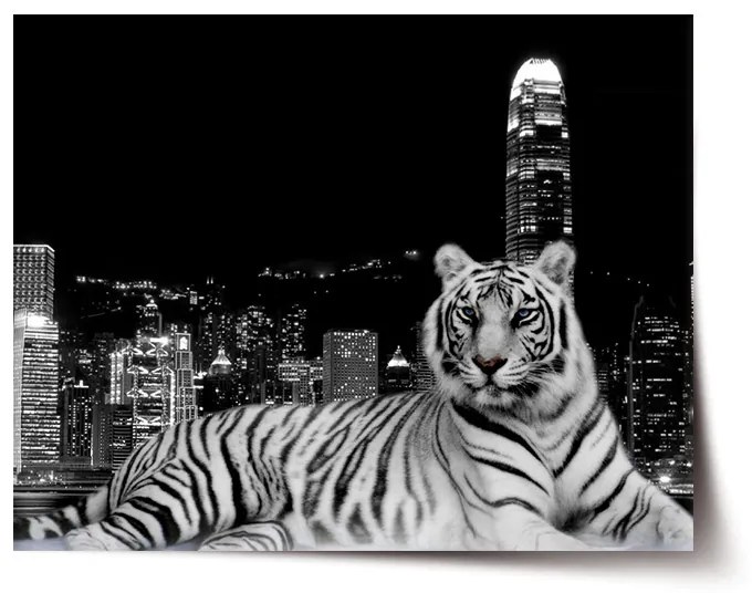 Sablio Plagát Mestský tiger - 60x40 cm