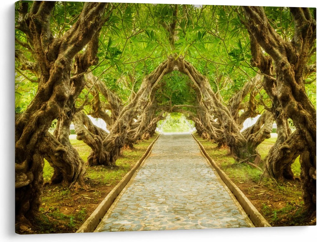 Obraz - Živý tunel z plumérií (70x50 cm)