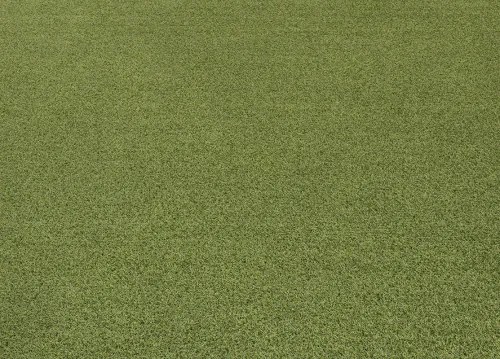 Koberce Breno Umelá tráva PRADO, šíře role 200 cm, zelená