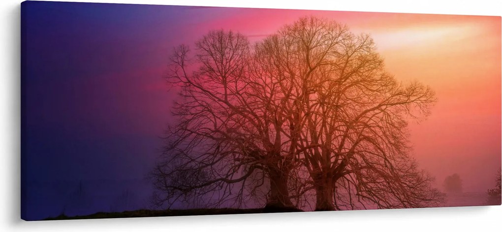 Obraz stromov v hmle (120x50 cm)