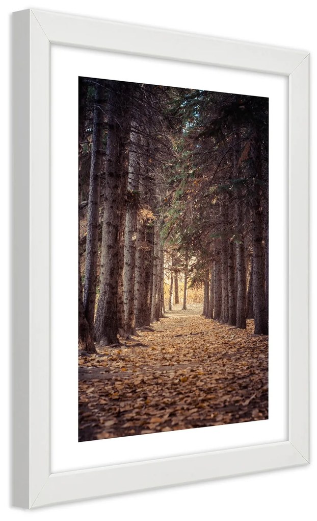 Gario Plagát Les na jeseň Farba rámu: Bez rámu, Rozmery: 30 x 45 cm