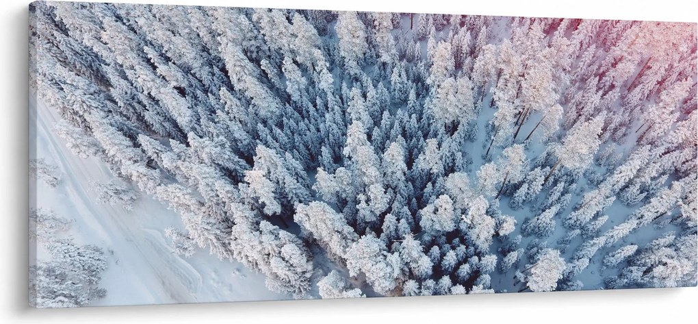 Obraz zasnežených stromov (120x50 cm)
