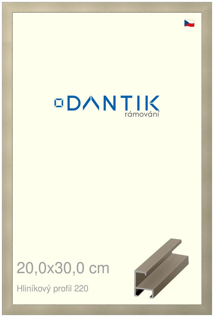 DANTIK rám na obraz 20x30 | ALU champagne (Sklo Čiré)