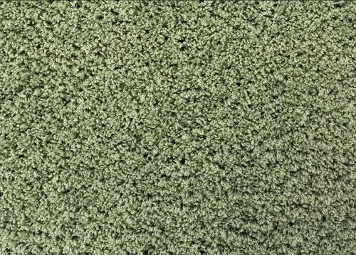 Koberce Breno Kusový koberec DOLCE VITA 01/AAA, zelená,67 x 110 cm
