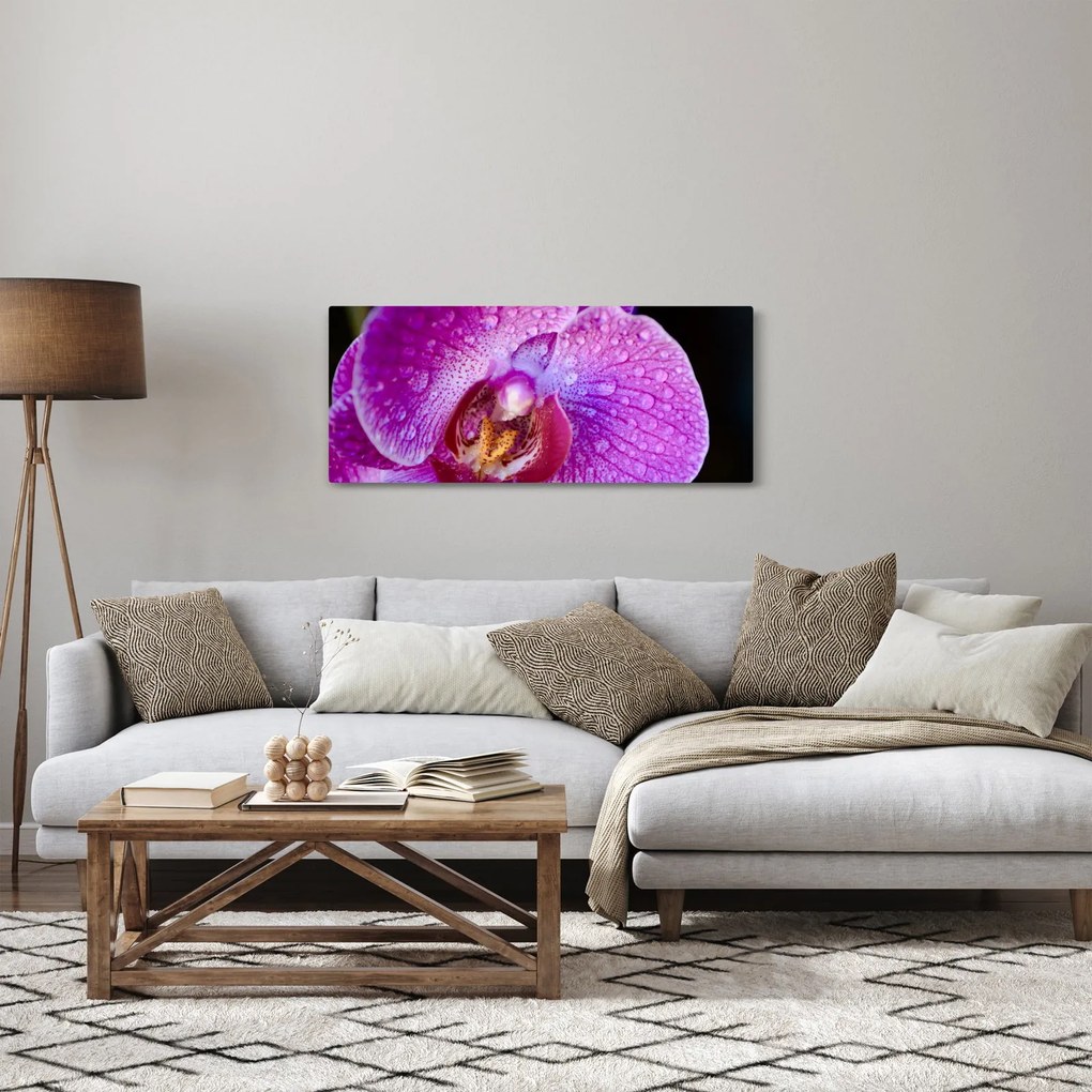 Detailný obraz kvetu orchidey (120x50 cm)