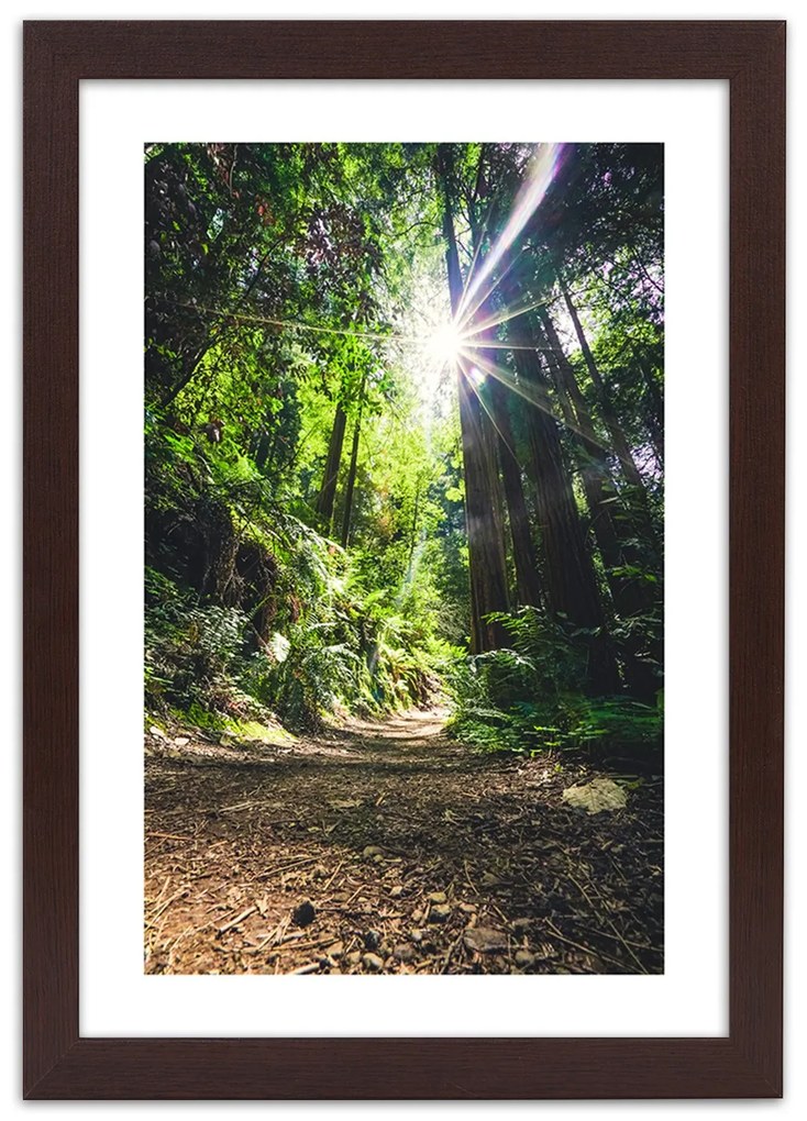 Gario Plagát Cesta v hustom lese Farba rámu: Bez rámu, Rozmery: 30 x 45 cm