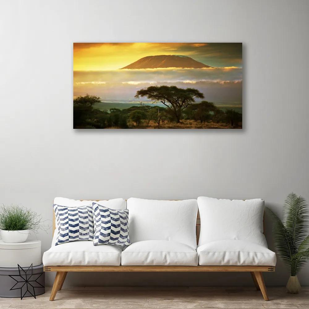 Obraz na plátne Strom hory príroda 120x60 cm