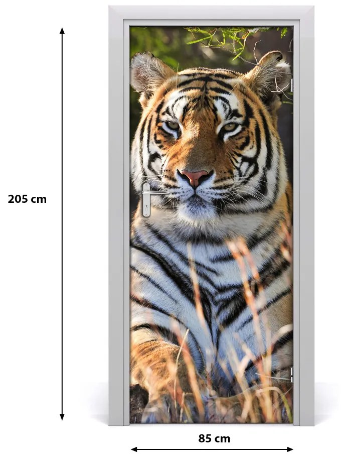 Samolepiace fototapety na dvere tiger 85x205 cm