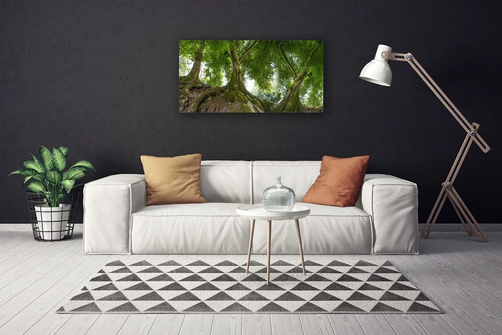 Obraz Canvas Stromy rastlina príroda 140x70 cm