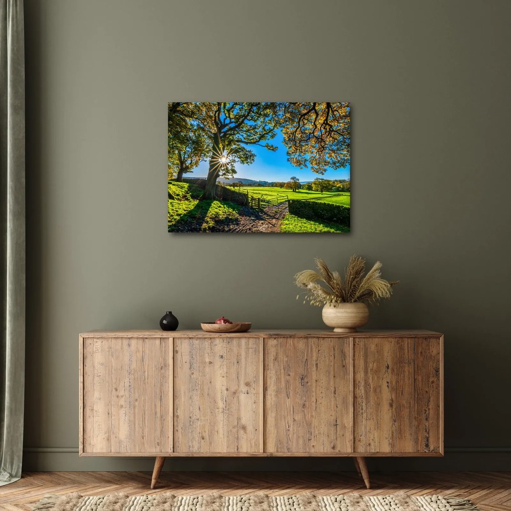Obraz - Výhľad na pole (70x50 cm)