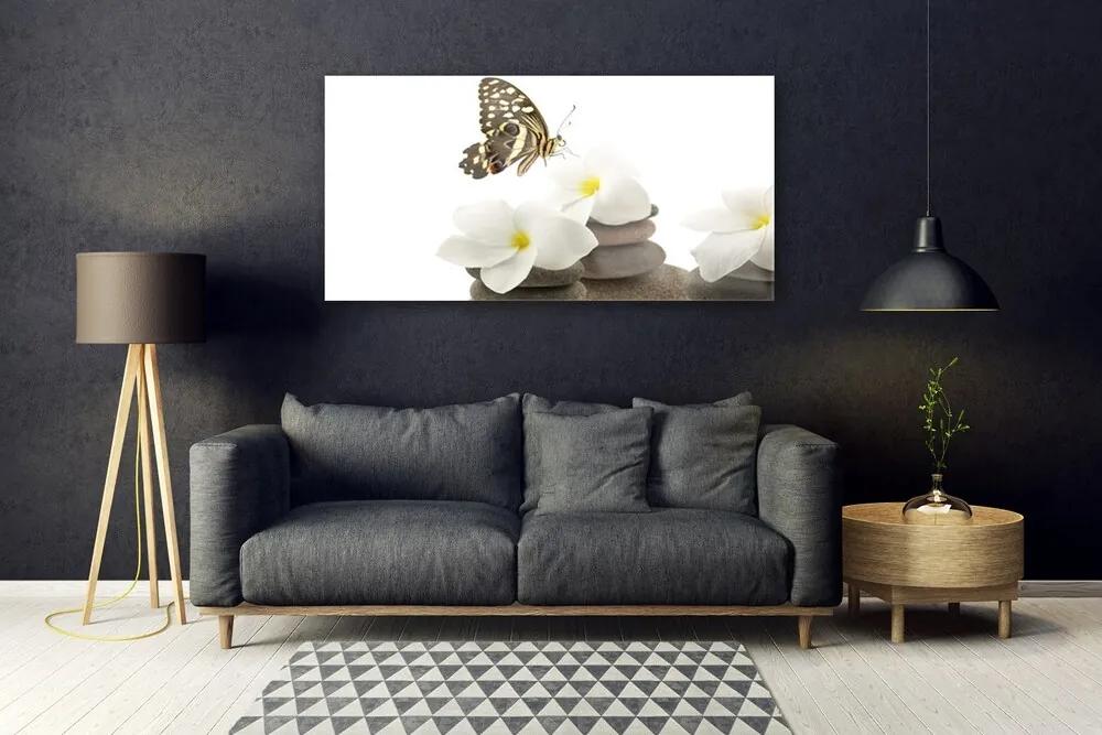 Obraz plexi Motýľ kvet kamene rastlina 120x60 cm