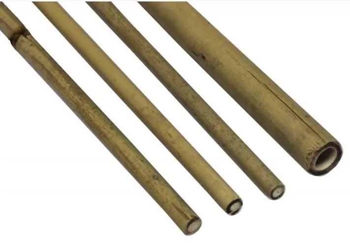 Bestent Bambusová oporná tyč 12-14mm 120cm