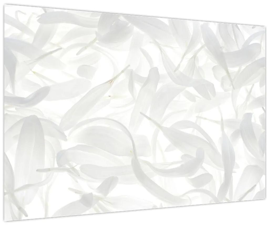 Obraz - Okvetné lístky (90x60 cm)