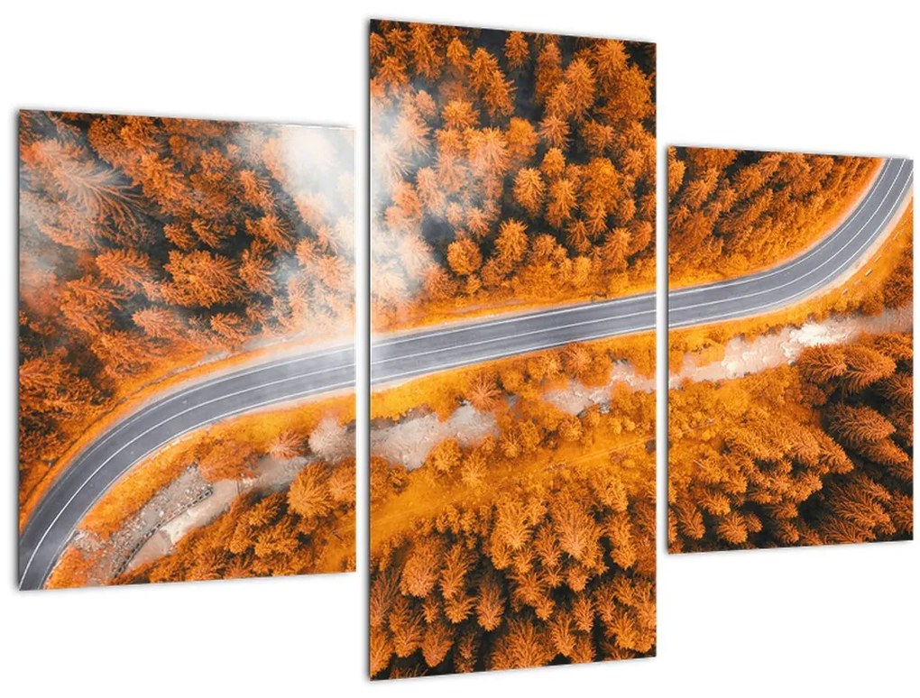 Obraz - Horská cesta (90x60 cm)