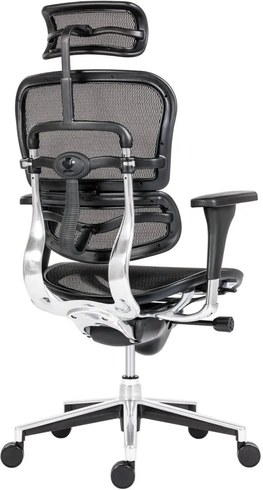 Kancelárska ergonomická stolička ERGOHUMAN — sieť, čierna, nosnosť 150 kg