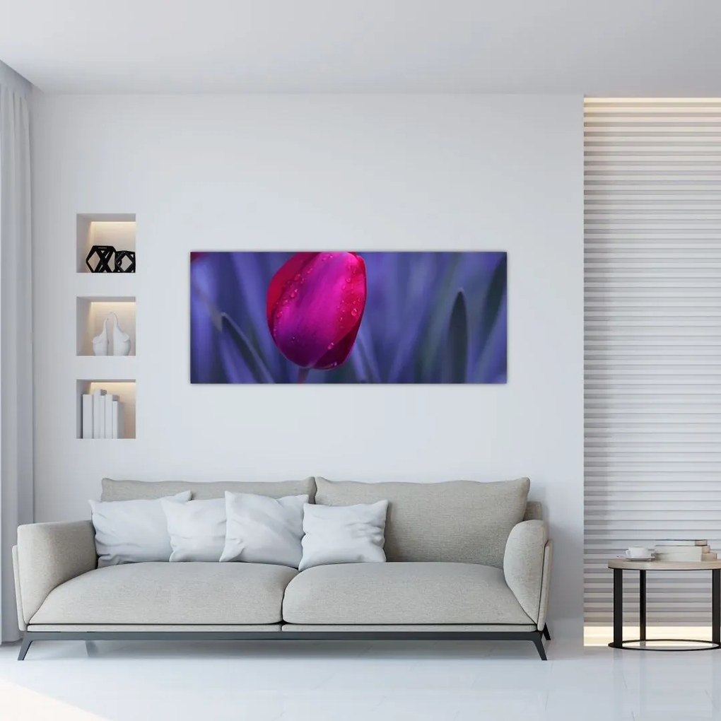 Obraz pupete tulipánu (120x50 cm)