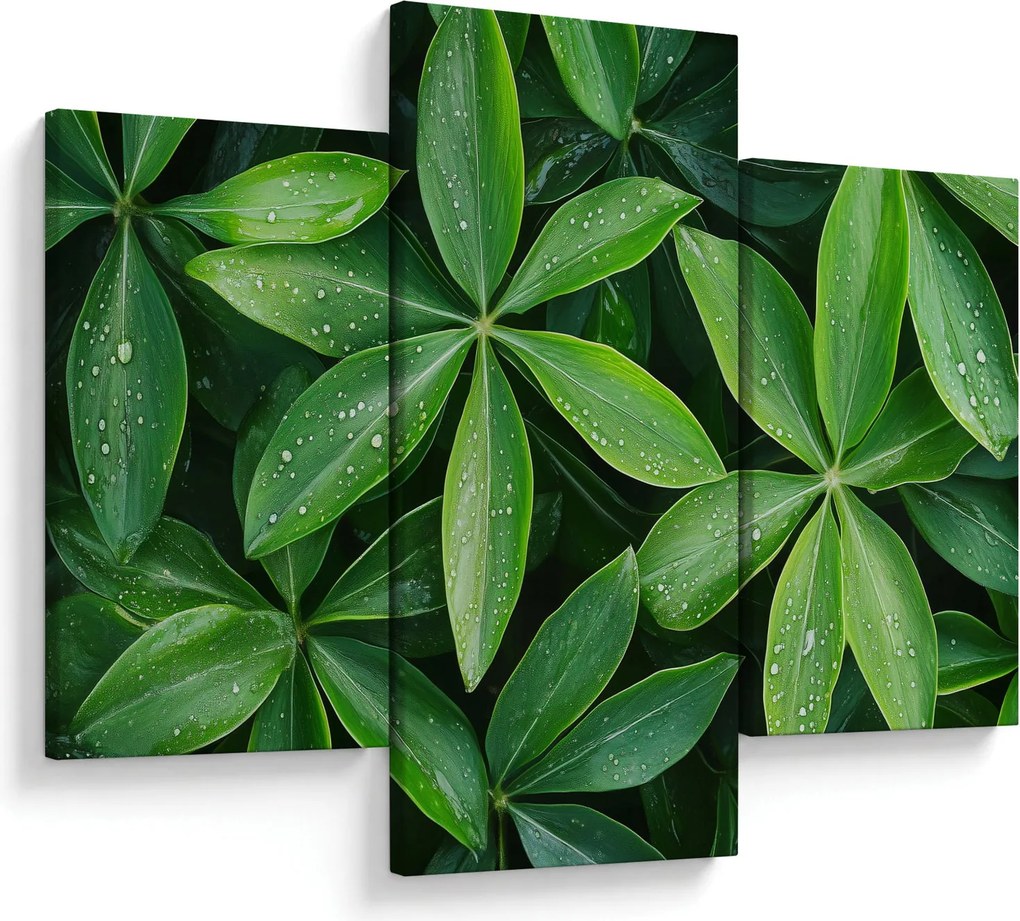 Obraz - Listy s kvapkami rosy (90x60 cm)