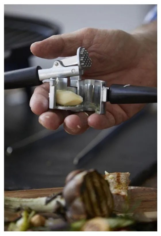 Kuchynský lis - Holm