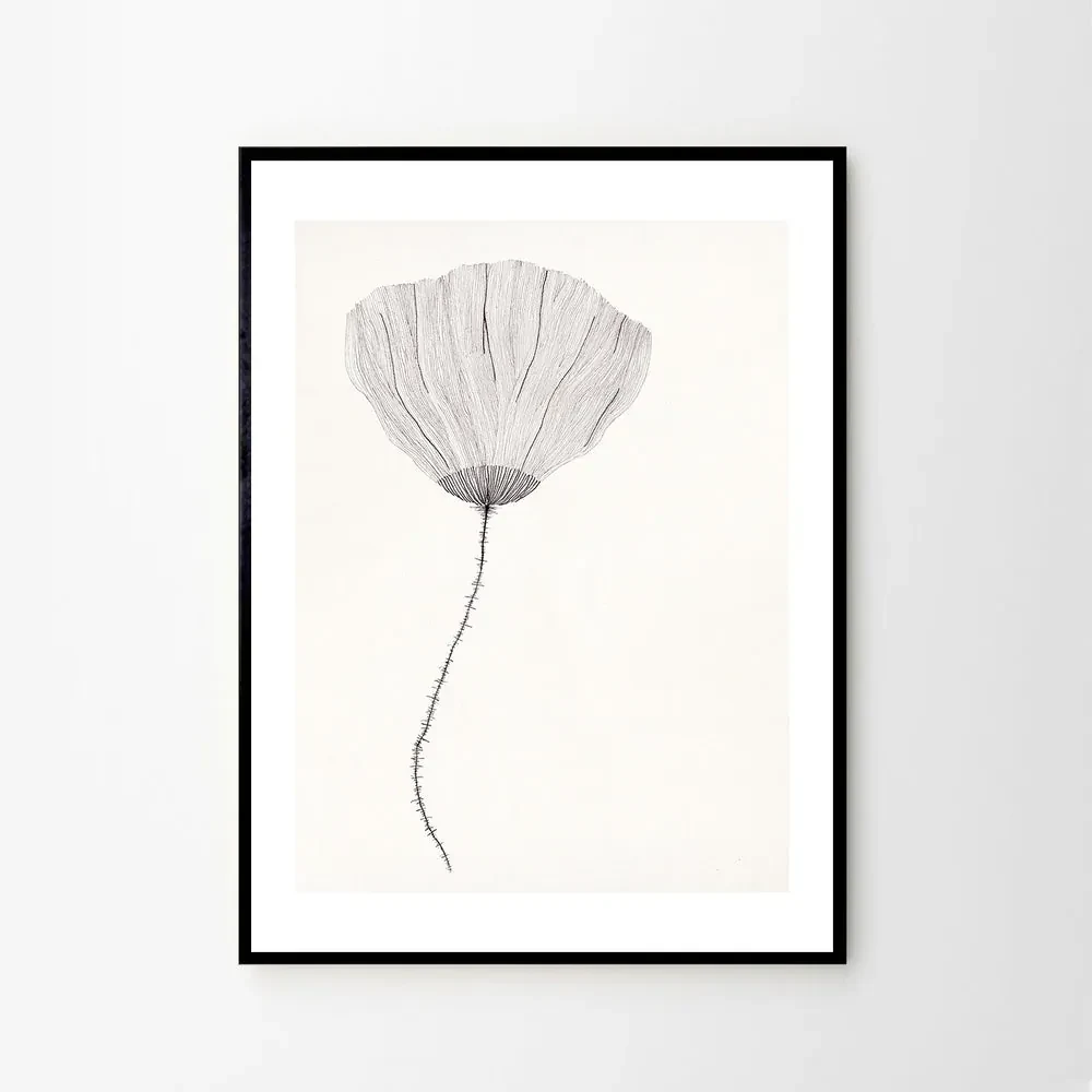 The Poster Club Plagát Poppy by Ana Frois 40x50 cm