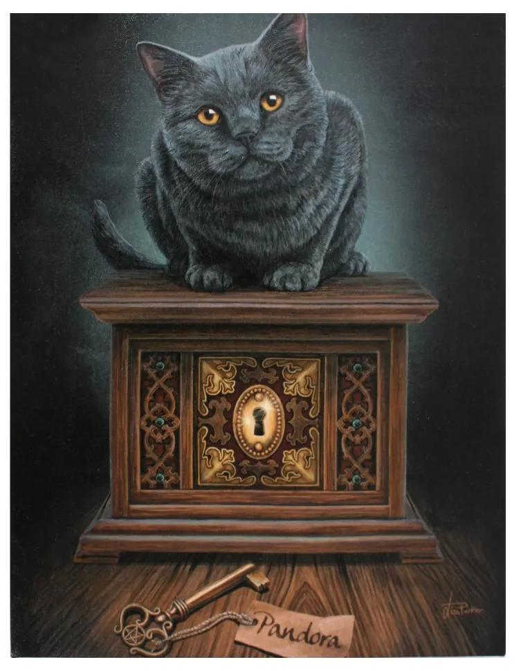 Veľký obraz na plátne s mačkou na Pandorinej skrinke - design Lisa Parker