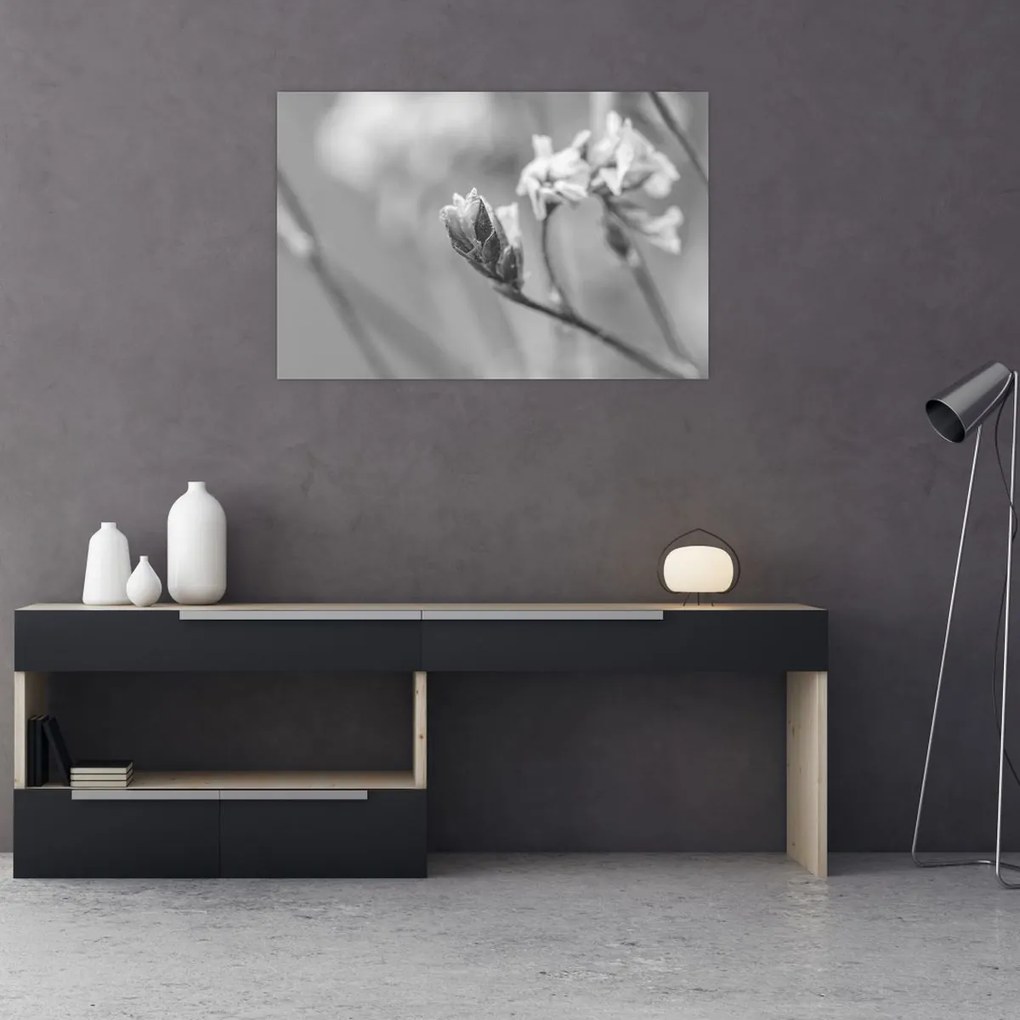 Obraz - Rozkvitnutý kvet (90x60 cm)