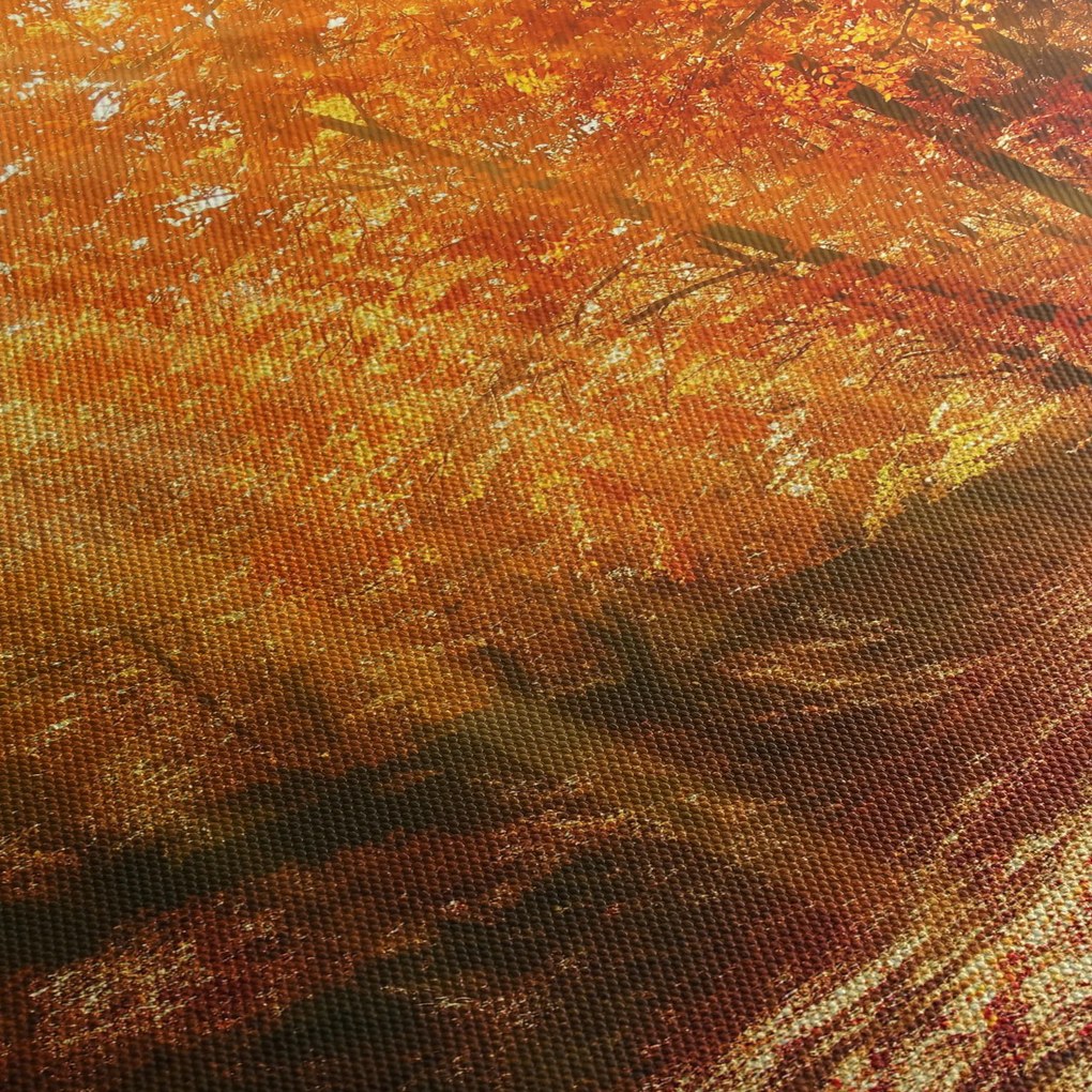 Obraz jesenného lesa (90x60 cm)