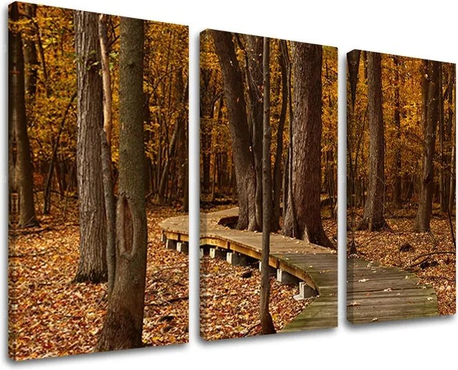 Obraz na stenu STROMY