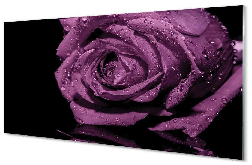 Obraz na skle purpurová ruža 120x60 cm