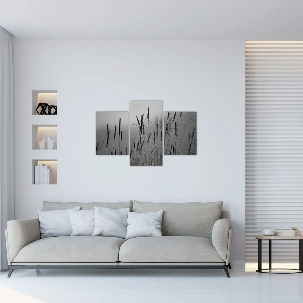 Obraz - Steblá trávy (90x60 cm)