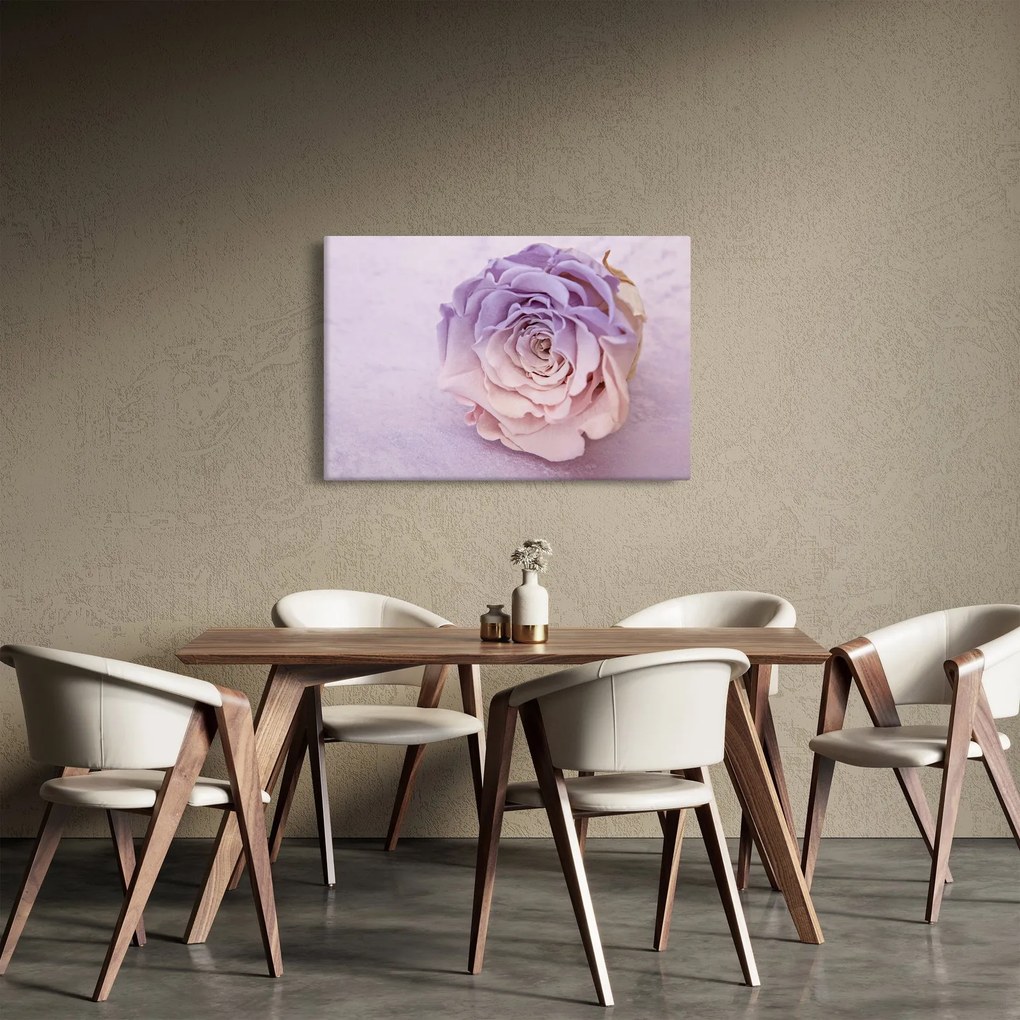 Obraz detailu kvetu ruže (90x60 cm)