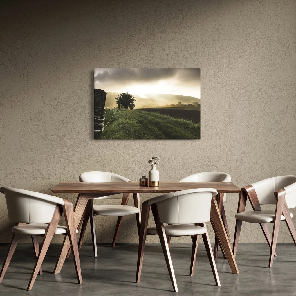 Obraz lúky (90x60 cm)