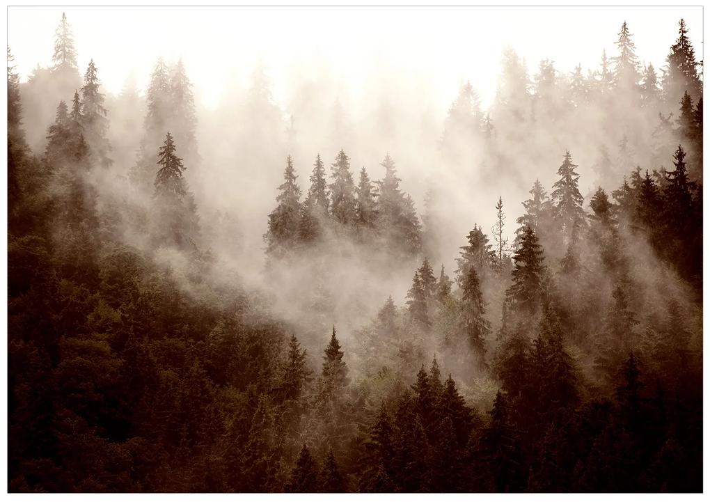 Artgeist Fototapeta - Mountain Forest (Sepia) Veľkosť: 100x70, Verzia: Premium