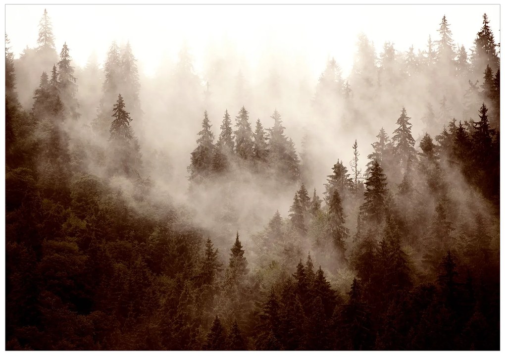 Artgeist Fototapeta - Mountain Forest (Sepia) Veľkosť: 150x105, Verzia: Standard