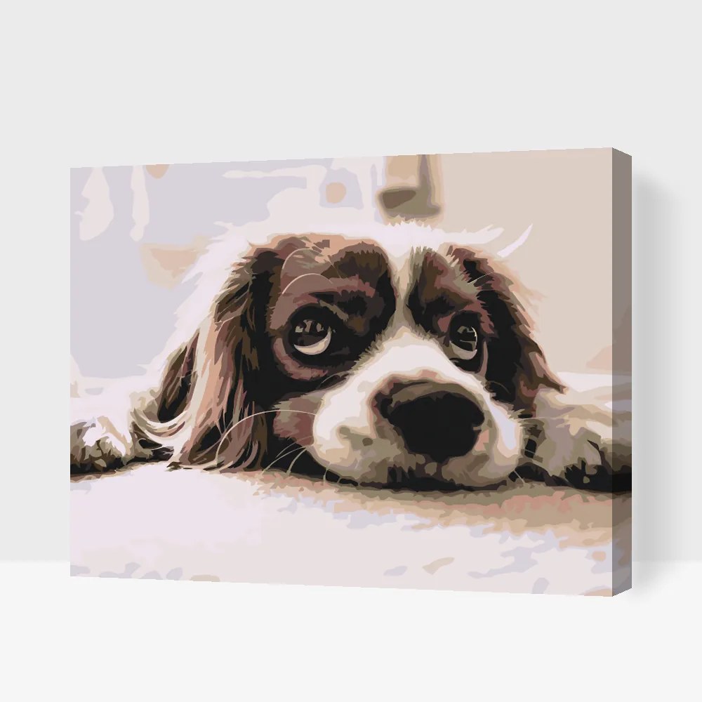 Gario Maľovanie podľa čísel Roztomilý psík Rozmery: 40 x 30 cm, Rámovanie: S vnútorným rámom