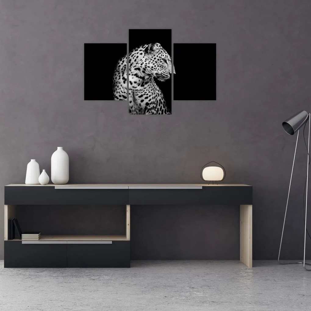 Obraz - Leopard (90x60 cm)