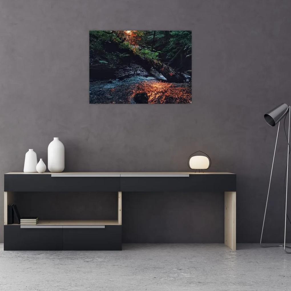 Sklenený obraz horskej riečky (70x50 cm)