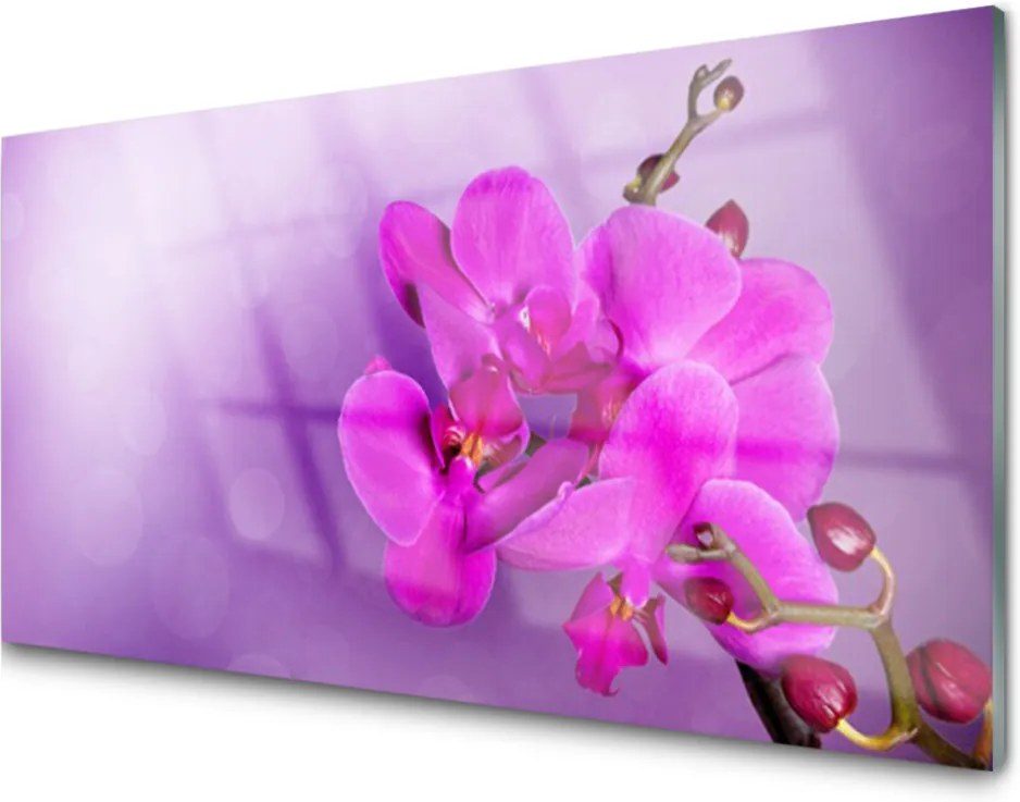 Sklenený obklad Do kuchyne Kvety Plátky Orchidea