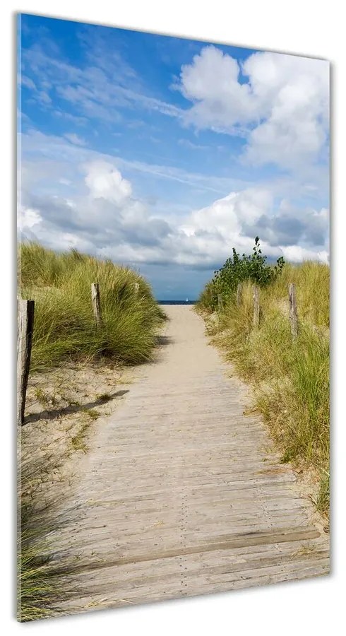 Foto obraz akrylové sklo Chodník na pláž pl-oa-70x140-f-123471354