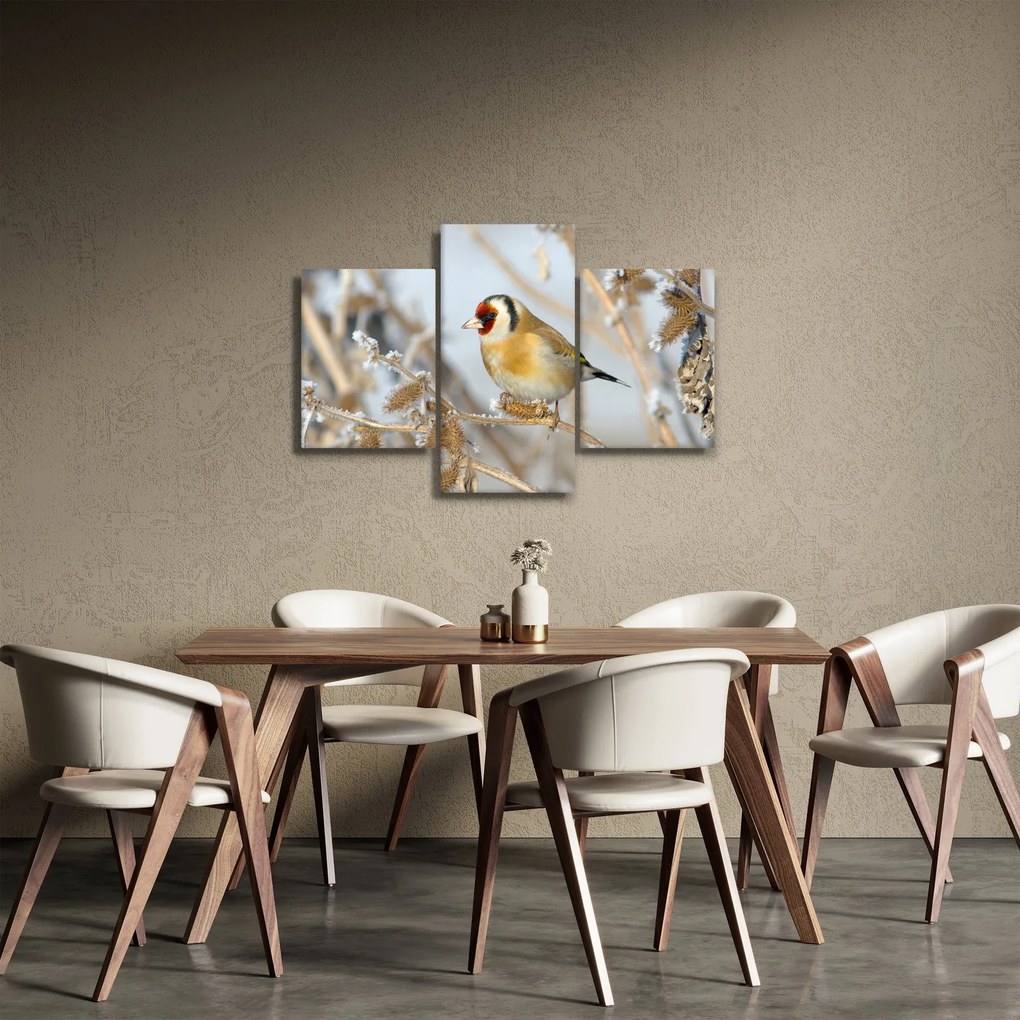 Obraz - Stehlík (90x60 cm)