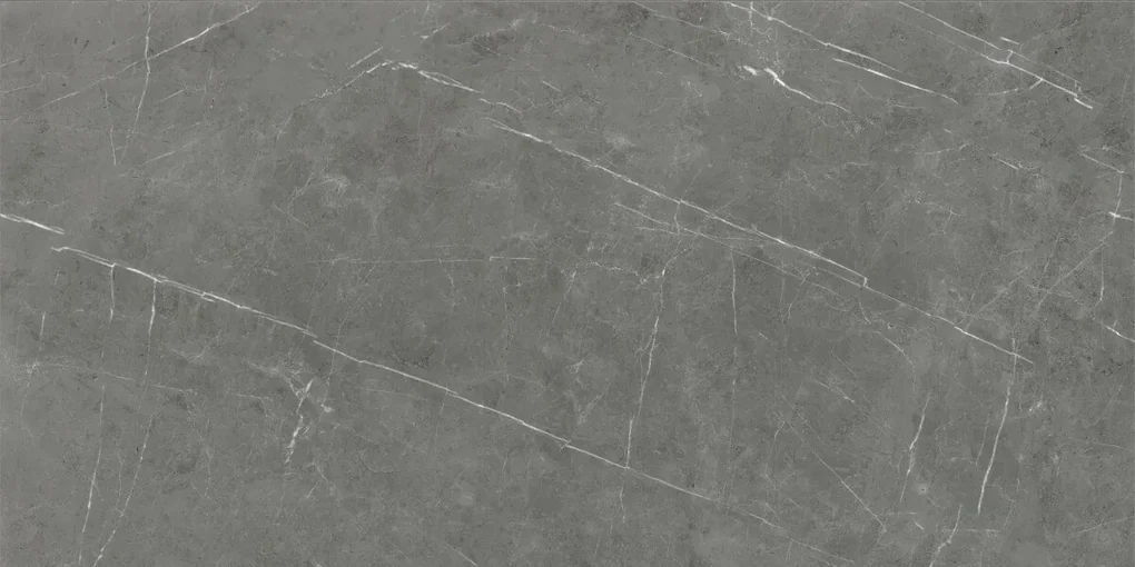 Dlažba Tessino Grey Pulido 60x120 R