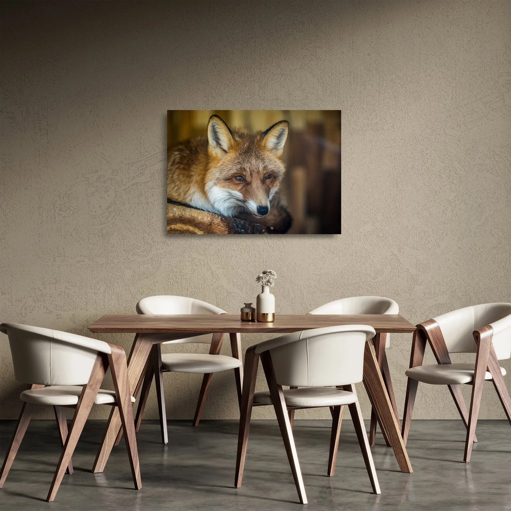Sklenený obraz líšky (70x50 cm)