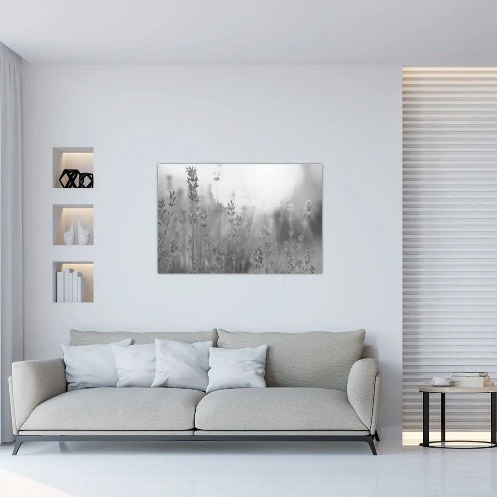 Obraz - Levanduľa (90x60 cm)