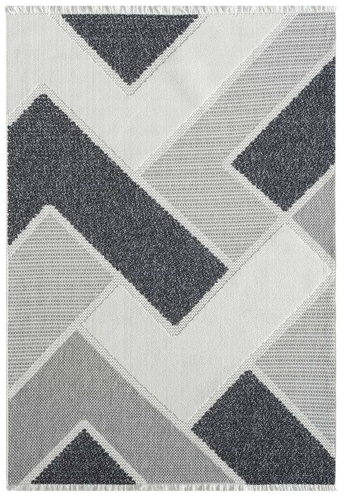 Dekorstudio Moderný koberec LINDO 8877 - sivý Rozmer koberca: 200x290cm