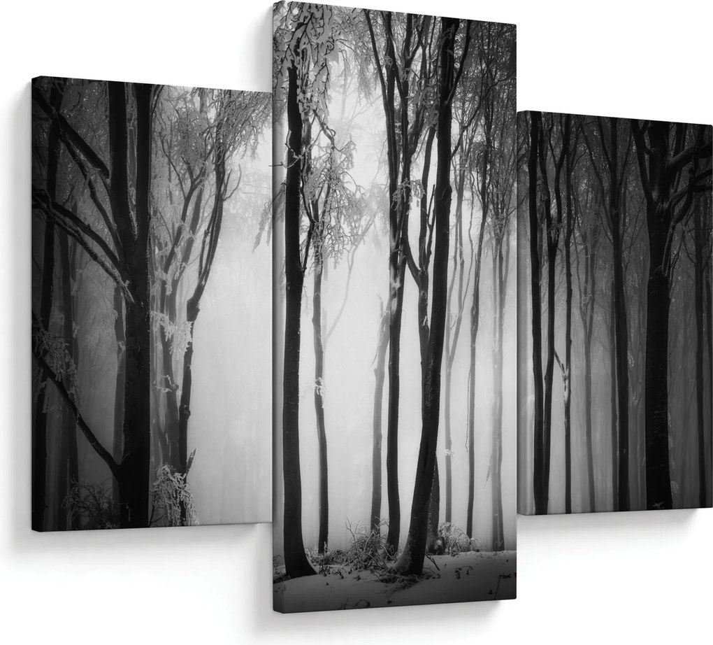 Obraz - Vlk v temnom lese (90x60 cm)
