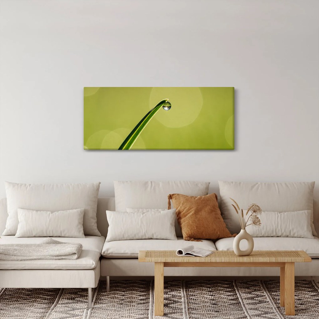 Obraz kvapky vody na tráve (120x50 cm)