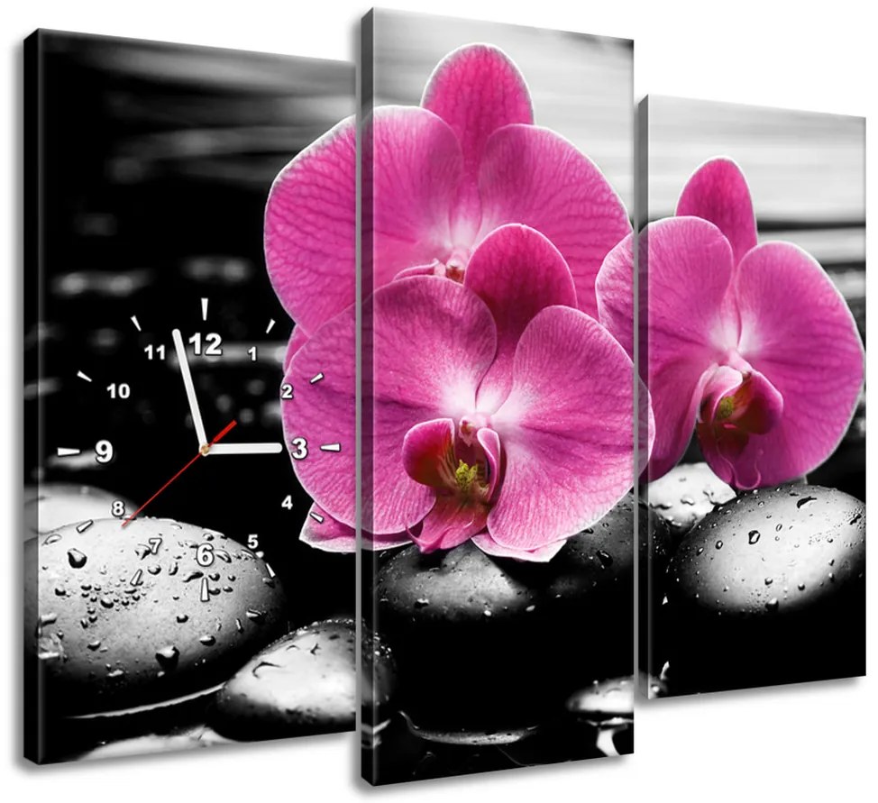 Gario Obraz s hodinami Krásna orchidea medzi kameňmi - 3 dielny Rozmery: 90 x 70 cm