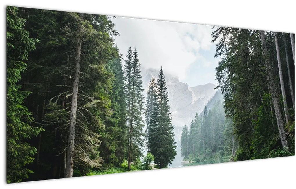 Obraz lesného jazera (120x50 cm)