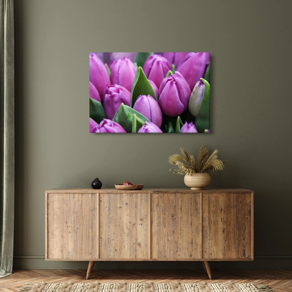 Obraz - kvety tulipánov (90x60 cm)